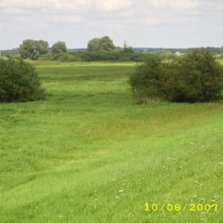 Pension Fröhlich - Blick über die Sudewiesen bei Boizenburg