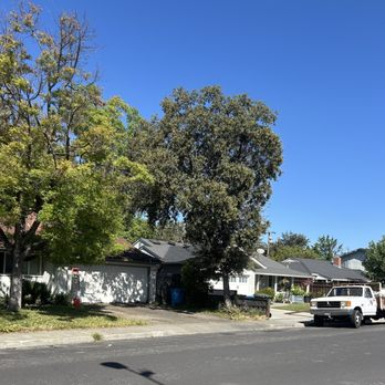 Majestic Tree Service - Tree Services Near Me - San Jose, California Majestic Tree Service - Tree Services Near Me - San Jose, California