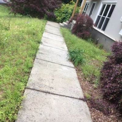 Just N time Lawn&Car Service’s