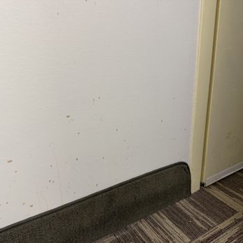 Clarion Inn Grand Junction Airport - Dirty wall and door - Hotels Near Me - Grand Junction, Colorado Clarion Inn Grand Junction Airport - Dirty wall and door - Hotels Near Me - Grand Junction, Colorado