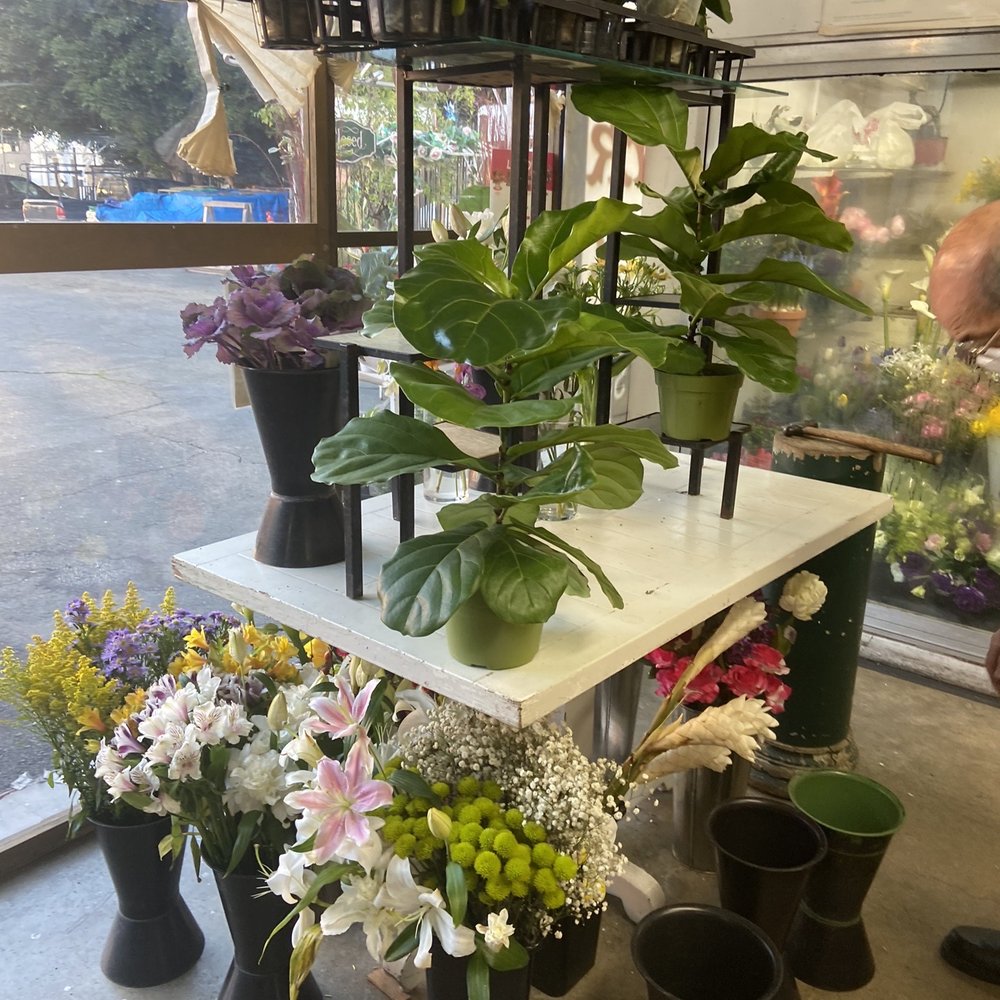 Toyo Griffith Park Florist - Just a small portion of the variety they have - Florists Near Me - Los Angeles, California Toyo Griffith Park Florist - Just a small portion of the variety they have - Florists Near Me - Los Angeles, California