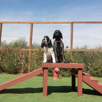 Bed & Biscuit - Pet Sitting Near Me - Cody, Wyoming