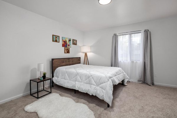 Team Peterson-Jackson Real Estate Professionals