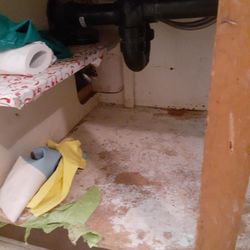 Eight Oaks Housing Cooperative - Rotting kitchen cabinet. Pest control said it was likely being used by mice for nesting and chewing--a mouse resource site.