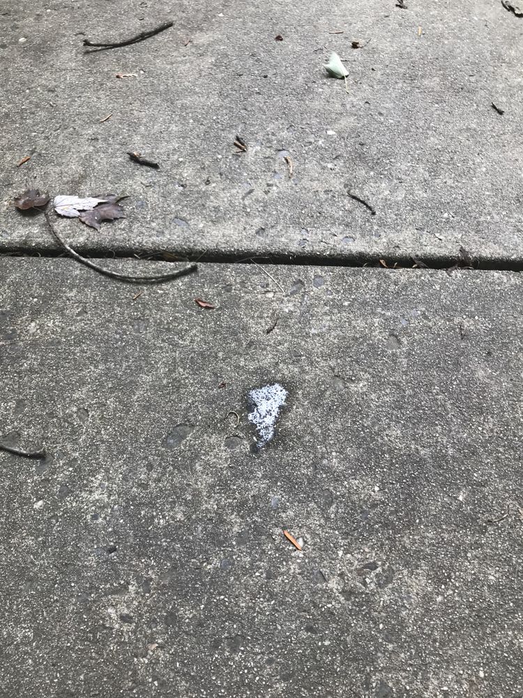 FREDERICK ELECTRIC COMPANY Updated September 2024 17 Photos 1786