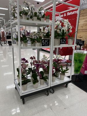 Target by null