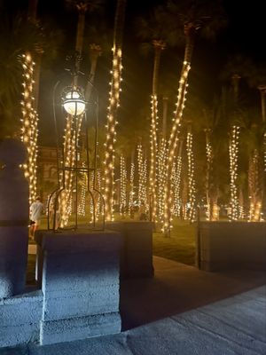 Nights of Lights by null