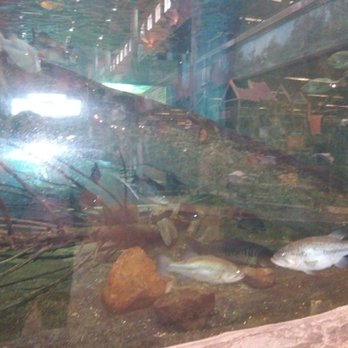 Bass Pro Shops - Outdoor Gear Near Me - Bossier City, Louisiana Bass Pro Shops - Outdoor Gear Near Me - Bossier City, Louisiana