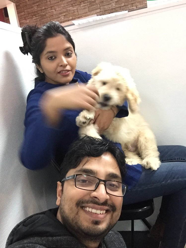 wireless fence with remote trainer