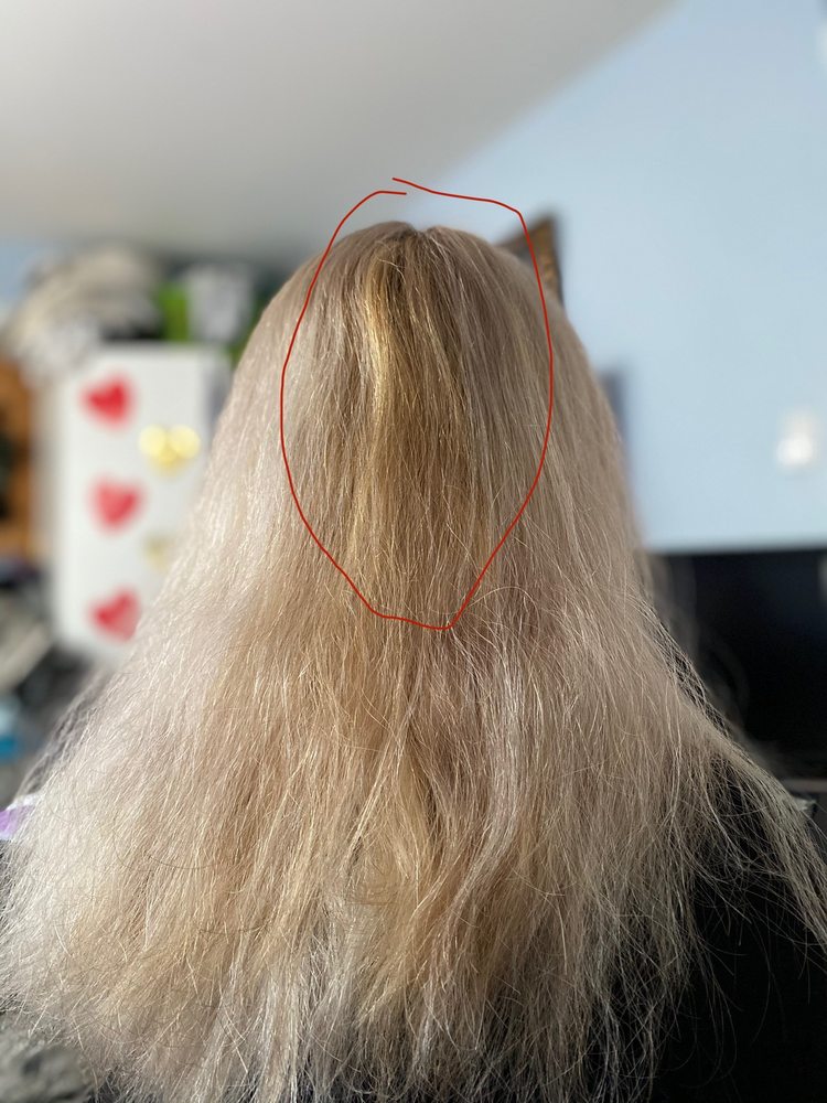 ERIC ALT HOUSE OF BLONDE Updated July 2024 41 Photos & 72 Reviews