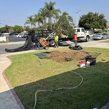 Moon Valley Nurseries - Planting tree - Nurseries & Gardening Near Me - La Verne, California Moon Valley Nurseries - Planting tree - Nurseries & Gardening Near Me - La Verne, California