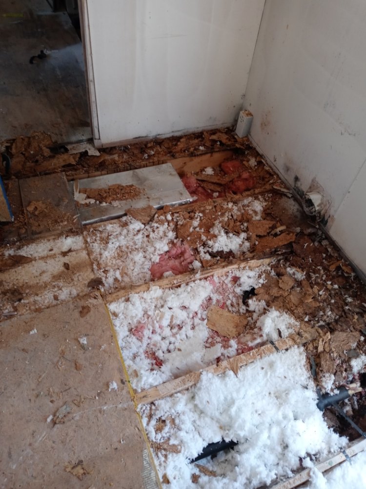 Slide of Carico Paint & Remodel