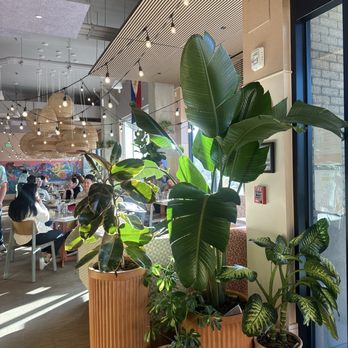 Magna Kainan - Filipino Near Me - Denver, Colorado Magna Kainan - Filipino Near Me - Denver, Colorado