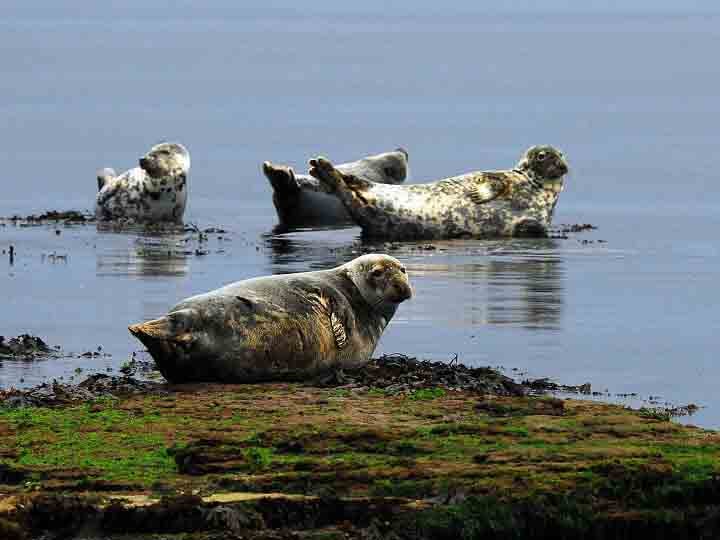 Highland Tours Inverness