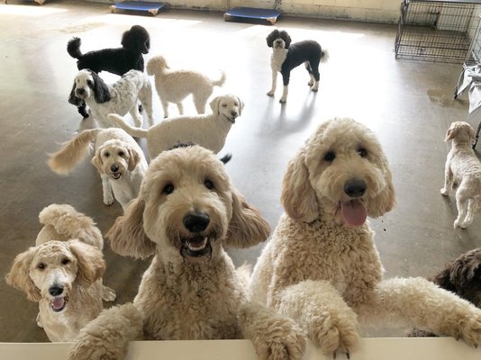 Crate Escape by null