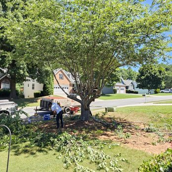 Dans Tree and Landscaping - Landscaping Near Me - Woodstock, Georgia Dans Tree and Landscaping - Landscaping Near Me - Woodstock, Georgia