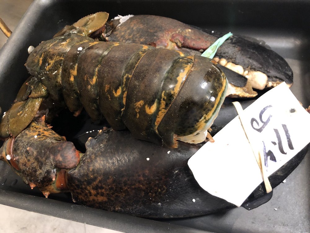 THE LOBSTER GUY 76 Photos & 146 Reviews 165 Dean Knauss Dr