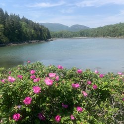 Otter Cove - Acadia National Park - Beautiful views