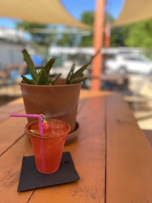 Tony's Siesta by null