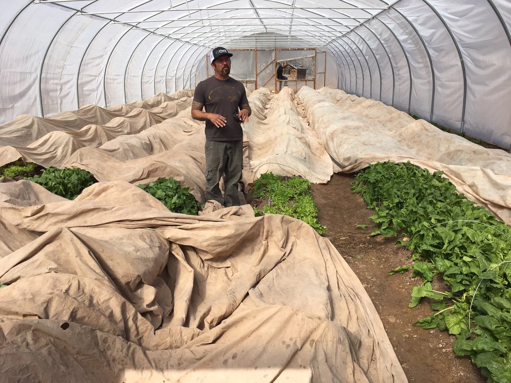 La Plazita Institute - social services organization in Albuquerque, NM