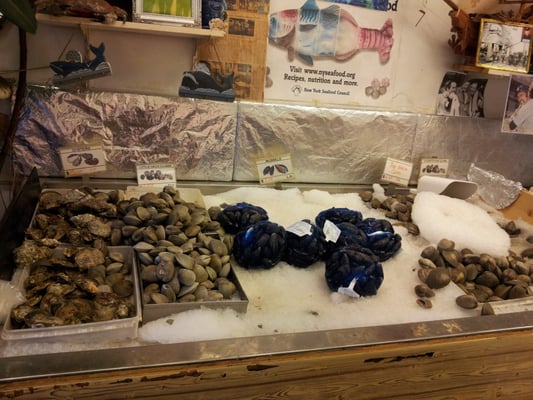 Avenue U Fish Market by null