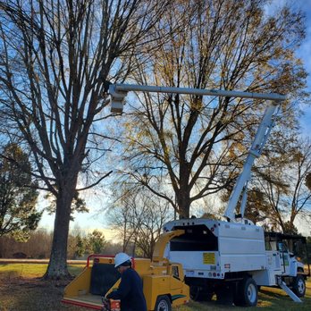 Teo Tree Service - About our company - Tree Services Near Me Teo Tree Service - About our company - Tree Services Near Me