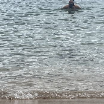 Tours Around Paradise - Swimming with the turtles - Tours Near Me - Honolulu, Hawaii Tours Around Paradise - Swimming with the turtles - Tours Near Me - Honolulu, Hawaii