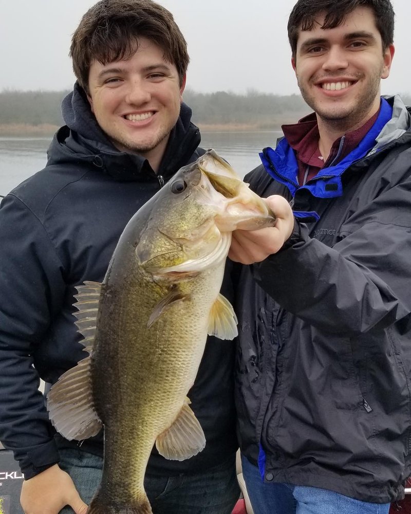 Big Bassin' Fishing Tours Logo