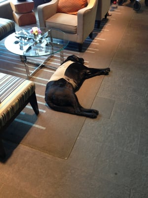 The Sidney Pier Hotel & Spa by null