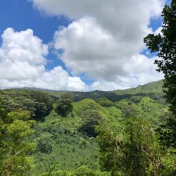 Kuilau Ridge Trail