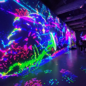 Illuminarium Toronto - Lite bright dinosaur - Museums Near Me - Toronto, Ontario