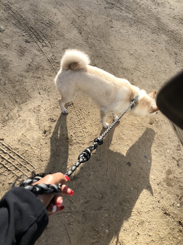 KLONDIKE PET CARE 18 Photos 8001 Klondike Rd, Pensacola, Florida