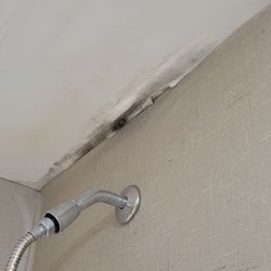 Holiday Inn Express & Suites Lebanon - Black mold