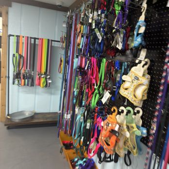 Totally Pawsome - Pet Stores Near Me - Chehalis, Washington Totally Pawsome - Pet Stores Near Me - Chehalis, Washington