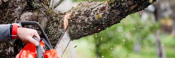 Jeff's Outdoor & Tree Services