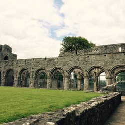Boyle Abbey  Mainistir na Búille
