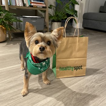 Healthy Spot - Pasadena - Pet Groomers Near Me - Pasadena, California