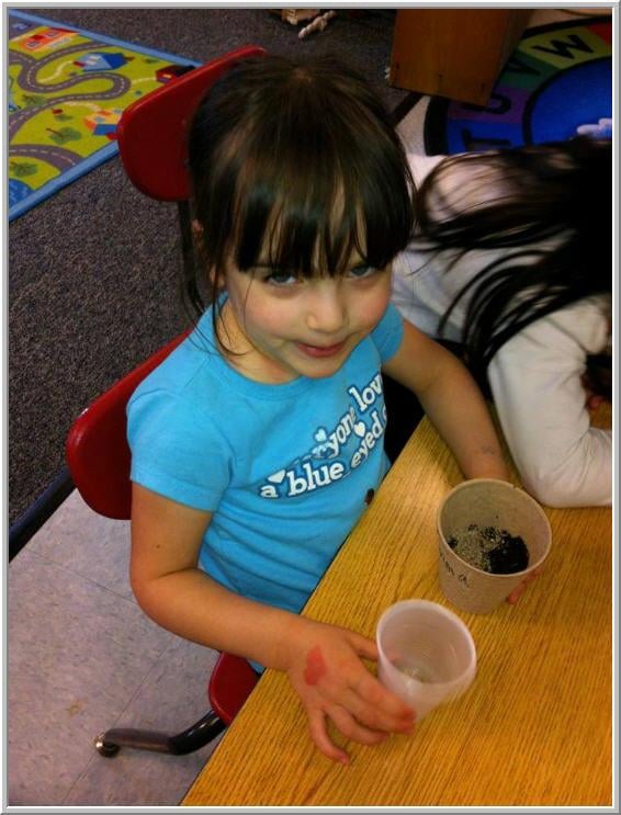 The Creative Play Learning Center - childcare center in Getzville, NY