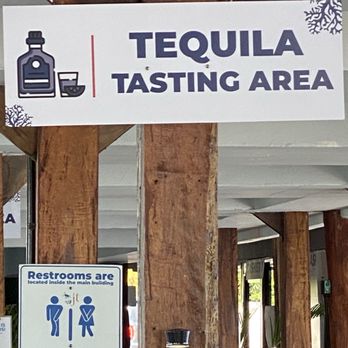 Jungle Tour Adventure Cancun - Tequila sales pitch - Snorkeling Near Me - Cancún, ROO Jungle Tour Adventure Cancun - Tequila sales pitch - Snorkeling Near Me - Cancún, ROO