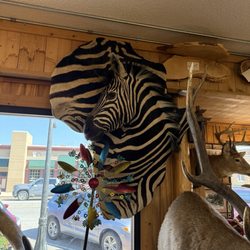 American Natural Resources - Zebra wall hanging in the shape of Africa