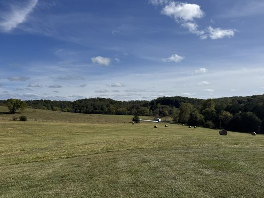 Bald Top Brewing Co. by null