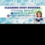 Cleaning Dust Busters