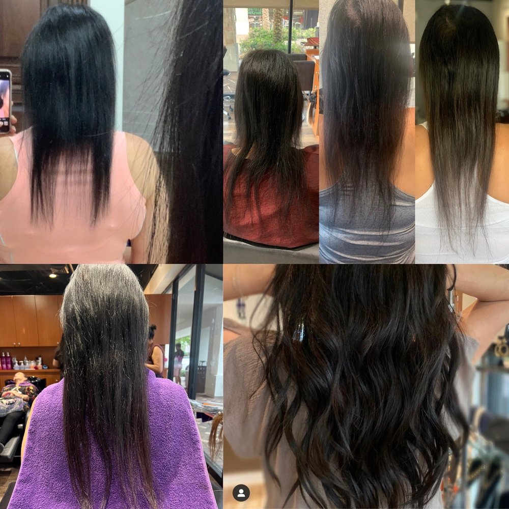 Sheila Papillion Logo