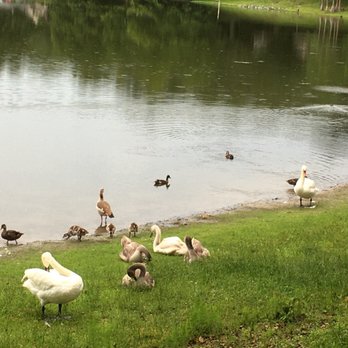 Lake Davis Park - Lakes Near Me - Orlando, Florida