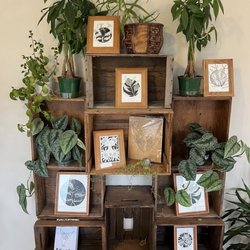 Little Leaf Cafe