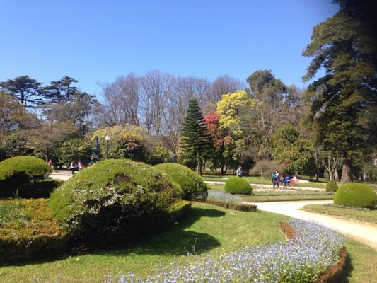Jardins do Palácio de Cristal by null