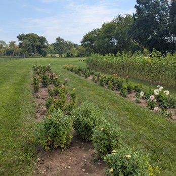 Peck And Bushel Fruit Company - Pick Your Own Farms Near Me - Colgate, Wisconsin Peck And Bushel Fruit Company - Pick Your Own Farms Near Me - Colgate, Wisconsin