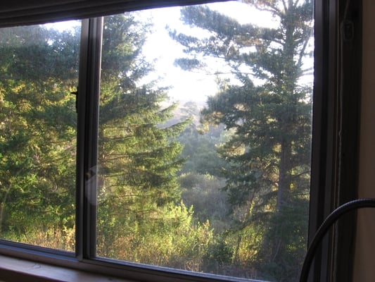 Costanoa by null