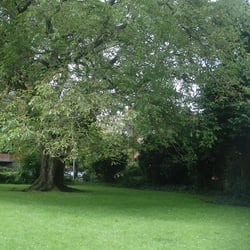 Eaton Square