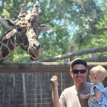 Zoo Boise - My husband and daughter enjoying feeding the giraffe 3 - Zoos Near Me - Boise, Idaho Zoo Boise - My husband and daughter enjoying feeding the giraffe 3 - Zoos Near Me - Boise, Idaho